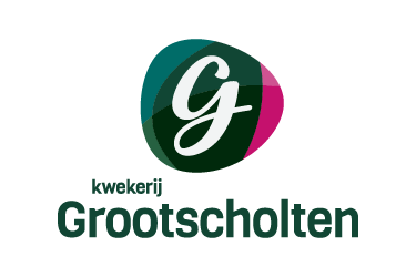 GebrGrootscholten