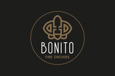 Bonito
