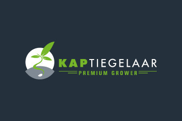 KapTiegelaar