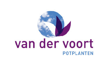 VanDerVoortPotplanten